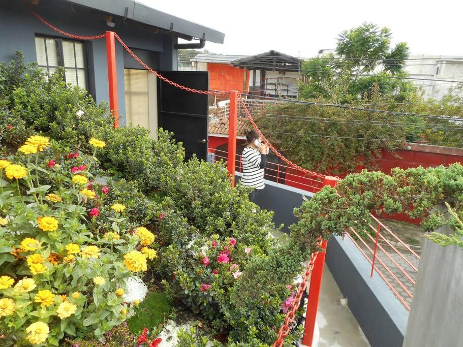 Comfy. Full Internet, Kitchen, Washer And Dryer, Netflix Chimaltenango Ngoại thất bức ảnh
